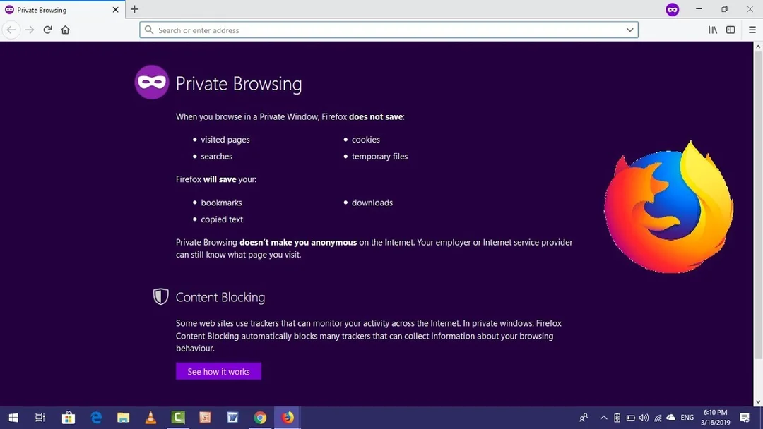 لقطة شاشة Firefox 3