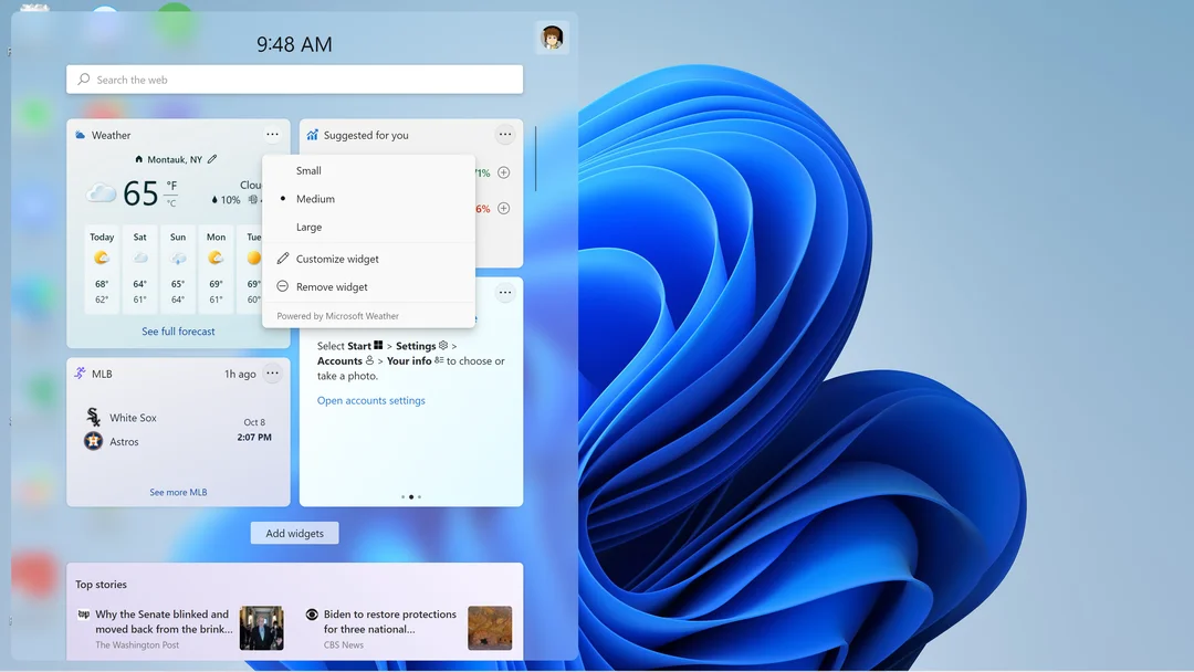 Windows 11 Screenshot 2